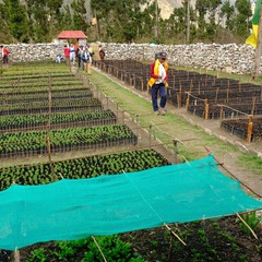 ついにネパール奥地で植栽開始！其の２